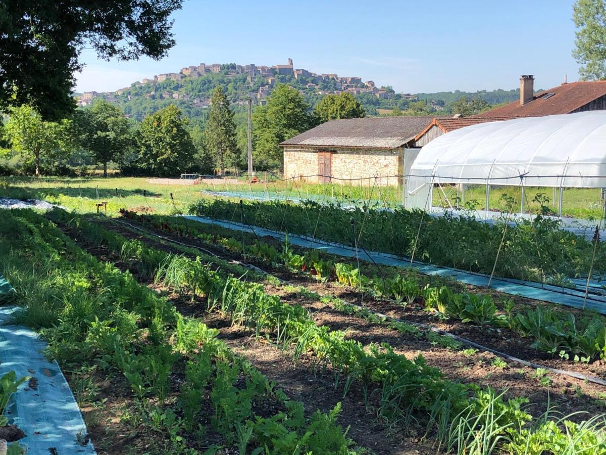 Gite A La Ferme De Verdurette Cordes Sur Ciel Luaran gambar