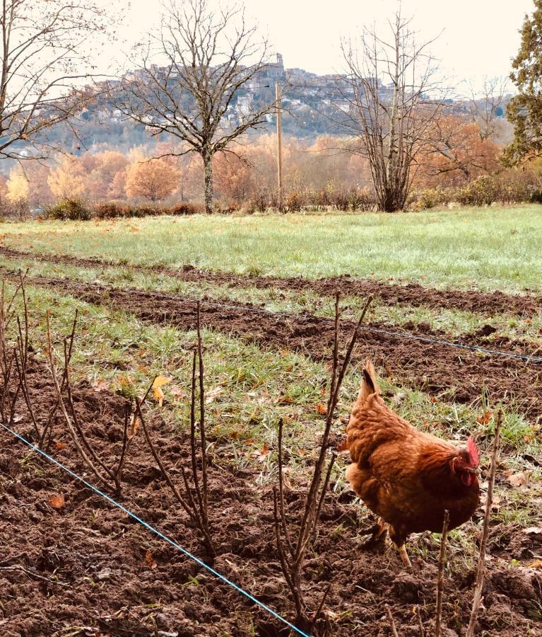 Gite A La Ferme De Verdurette Cordes Sur Ciel Luaran gambar